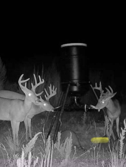 00 Ebenezer Church Rd, Bassfield, MS 39421