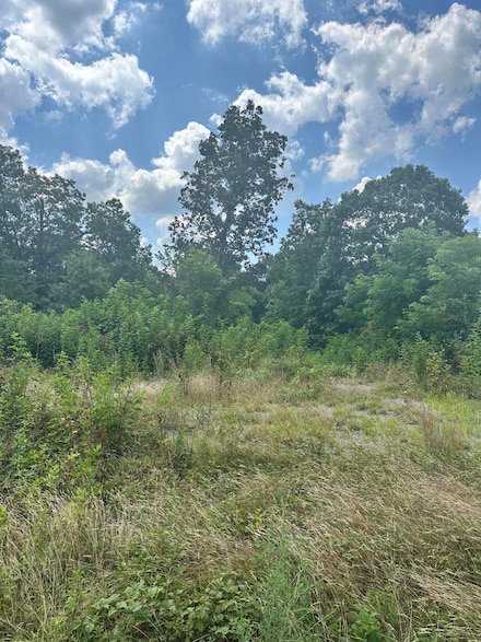 373 Forest Trail Dr, Berea, KY 40403