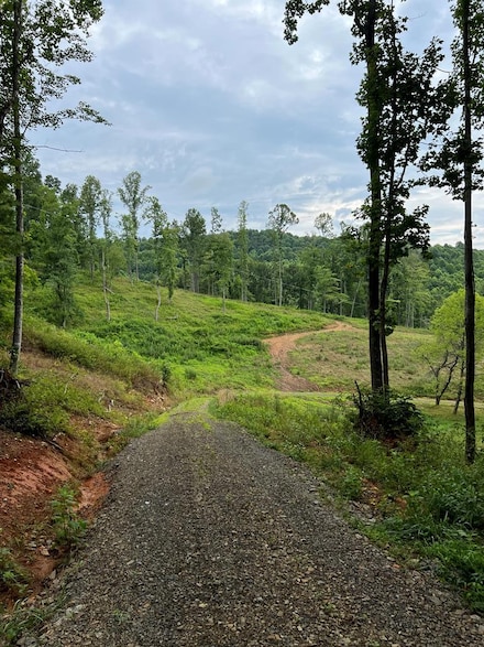 151 Lambsburg Rd, Fancy Gap, VA 24328
