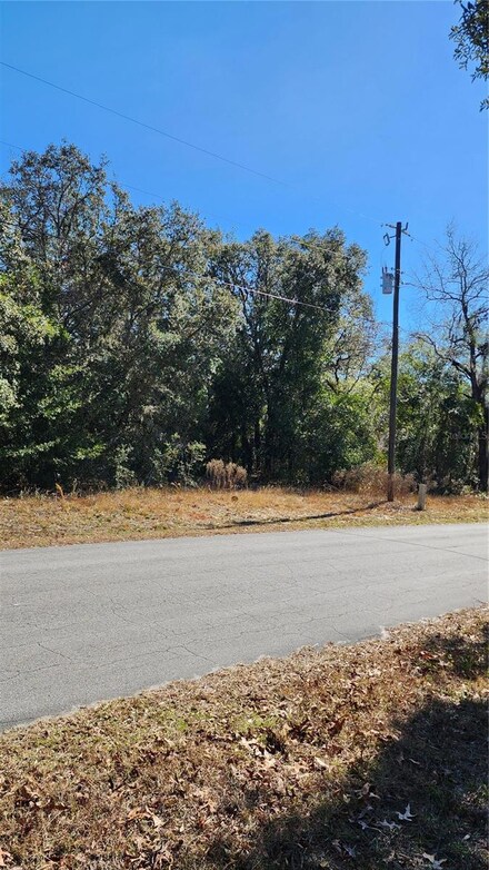 47 N Fitzpatrick Ave, Inverness Highlands North, FL 34453