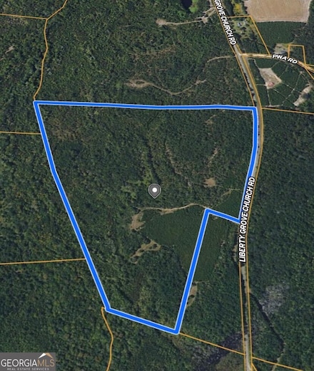 0 Liberty Grove Church Rd Unit 10509660, Wrightsville, GA 31096