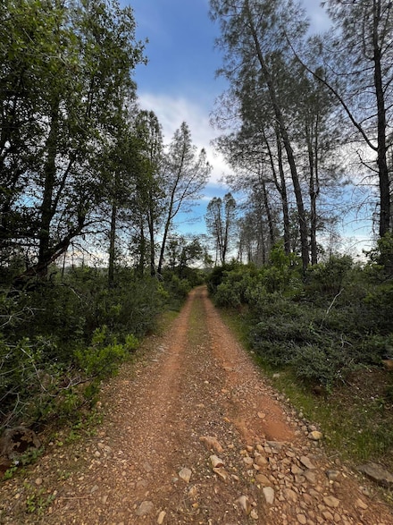 60 Acres Donkey Mine Rd, Oak Run, CA 96069