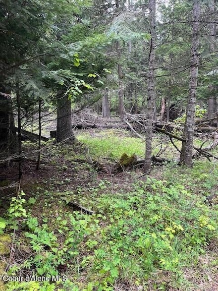 318 Lakeview Rd, Bayview, ID 83803