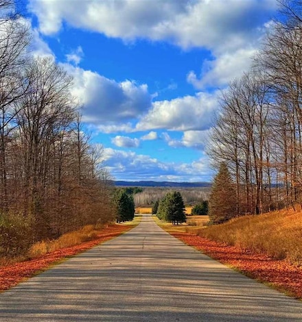 10 Mount Vernon Hills Dr, Corwith Township, MI 49795