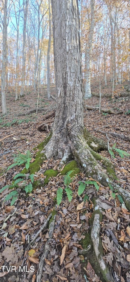 2351 Line Rd, Eidson, TN 37731