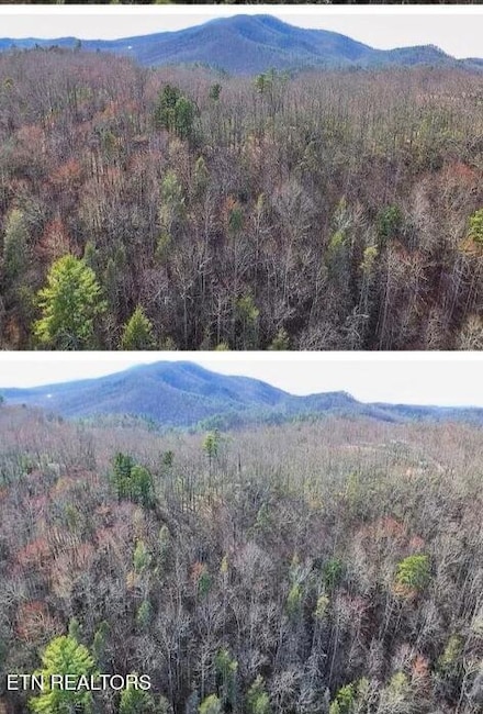 0 Balls Hollow Rd E, Cosby, TN 37722