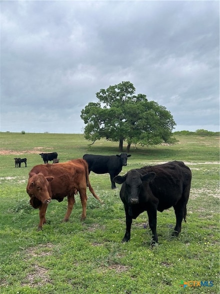 TBD Tract 1 W Gates Valley Rd, Poteet, TX 78065