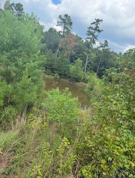 12543 Farm To Market 225, Cushing, TX 75760