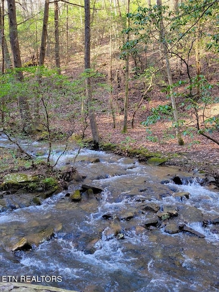 0 Tall Tree Tr Unit RTC2972340, Dunlap, TN 37327