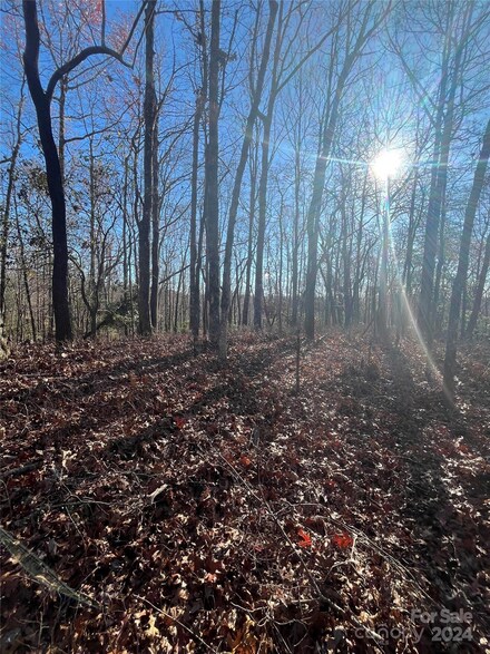TBA Udvawadulisi Ct, Brevard, NC 28712