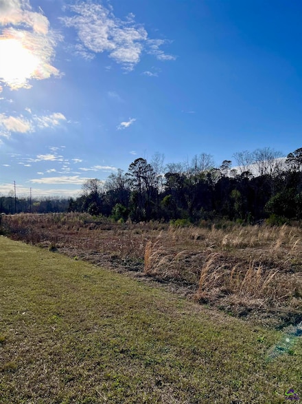 0 Pine Ridge Rd Unit 241126, Eastman, GA 31023