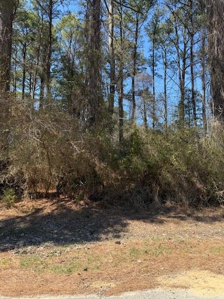 1102 Amidship Dr Unit 1102, Captains Cove, VA 23356