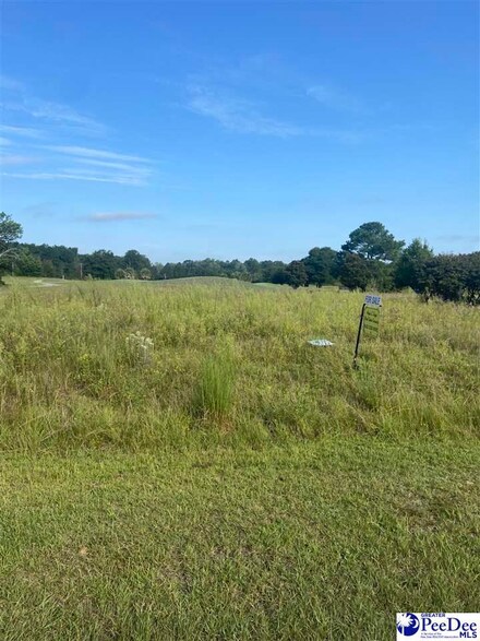 Lot 12 Governors Run, Lamar, SC 29069