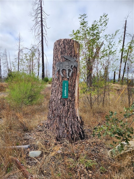 1103 Bald Rock Rd, Berry Creek, CA 95916