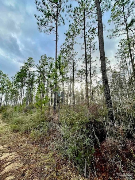 3700 Block Hwy 168, Century, FL 32535