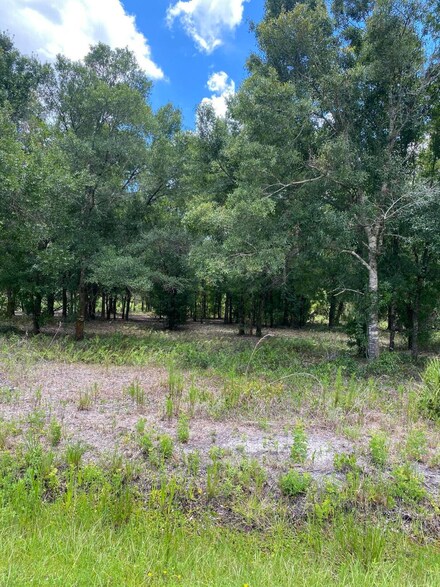 17664 NW 280th St, Okeechobee, FL 34972