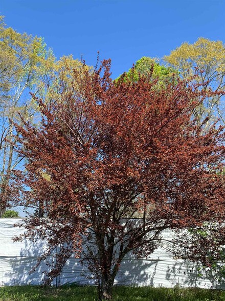 1067 Compton Rd, Brantley, AL 36009