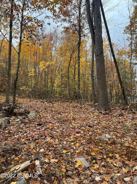 0 Mount Trail, Sunbury, PA 17801