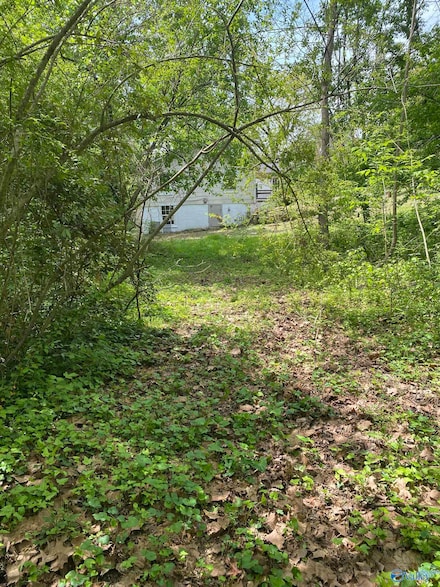 .17 Clayton Ave, Gadsden, AL 35904