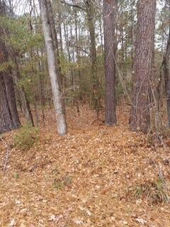 Lot 205 Prices Bridge Ln, Walterboro, SC 29488