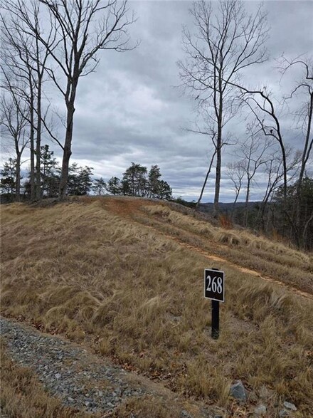 0 Canoe Way Unit 7681714, Talking Rock, GA 30175