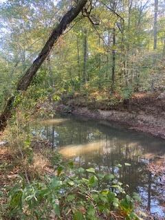 1306 Berry Bennett Rd, Chatsworth, GA 30705