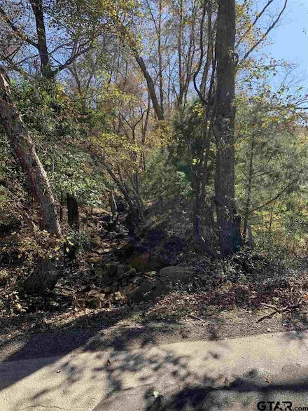 TBD Cr 472 & I20, Lindale, TX 75771