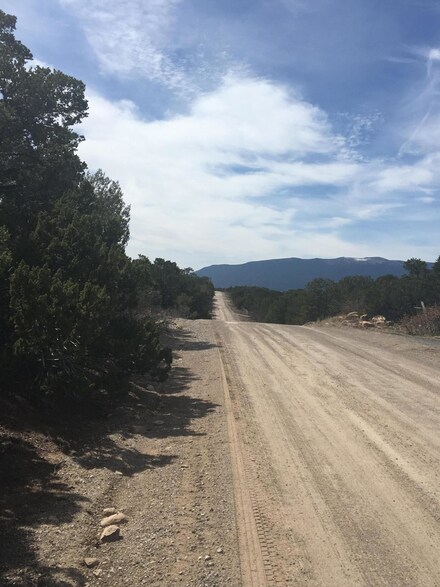 62 & 64 Camino Verde Rd, Sedillo Vista, NM 87059