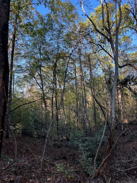 0 Mount Nebo Rd, Marion, AL 36756