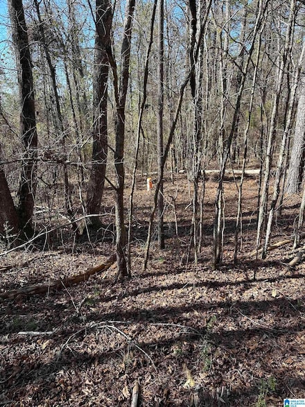 0 Fieldcrest Dr Unit Lot 7 21408625, Hayden, AL 35079