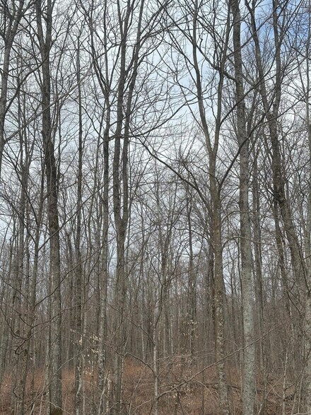 ON Cth G Unit Tract 8423, Rhinelander, WI 54501
