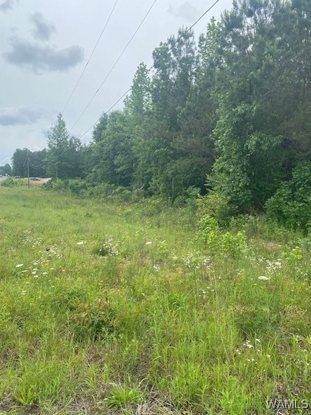 3 43rd St, Northport, AL 35473