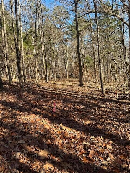 Lot 2 Lower River Rd NW, Charleston, TN 37310
