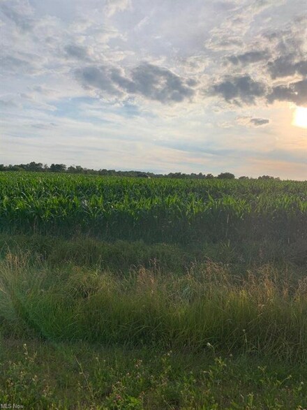 0 Sterling Lot 48 Rd, Burbank, OH 44214