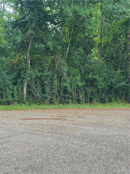 0000 Shady Ln, Natalbany, LA 70466