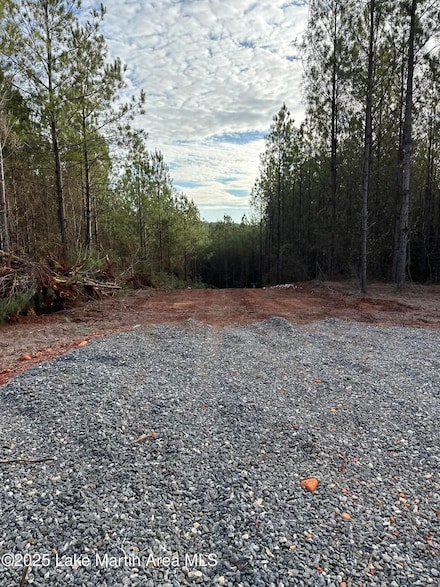 908 S Pineforest Dr, Dadeville, AL 36853