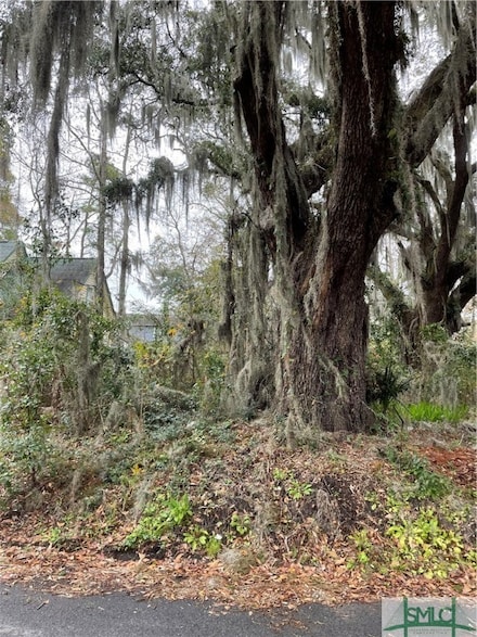 0 Albert St Unit 264103, Savannah, GA 31406