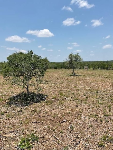 County Road 119, Pettus, TX 78146