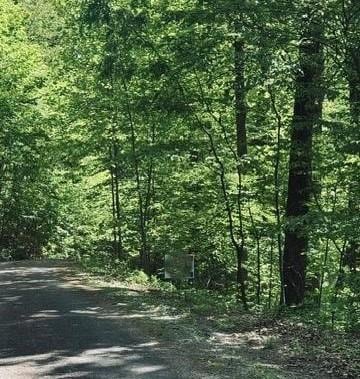 409&411 Barefoot Rd, Hiawassee, GA 30546