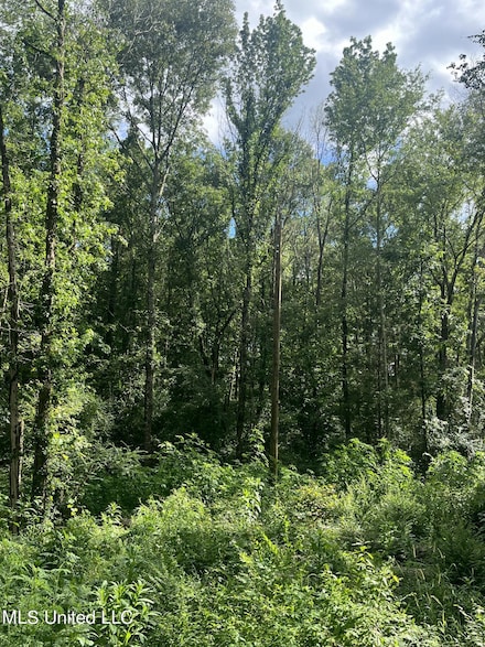 0 Old Highway 35, Carthage, MS 39051