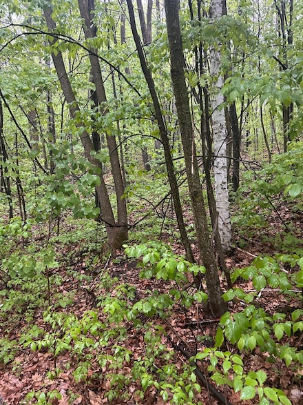 TBD Flintstone Dr, Cushing, MN 56443