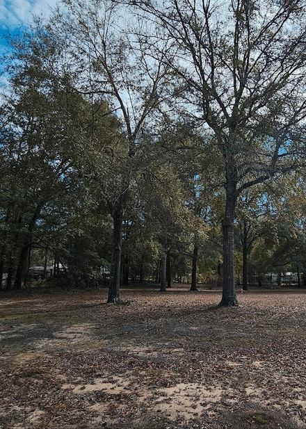 TBD Princess Pond Rd, Summerton, SC 29148