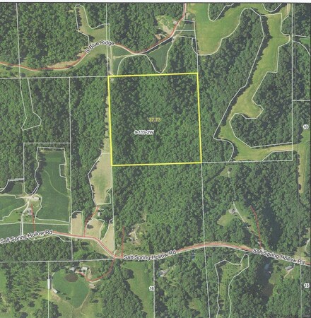 0 Salt Spring Hollow Unit 17062857, Hardin, IL 62047