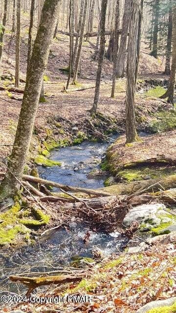 0 Lot155 Tinkwig Dr, Hawley, PA 18436