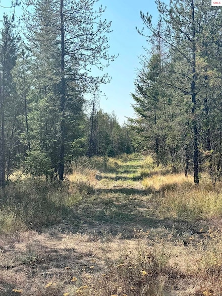 NNA 10acs Sky Meadow Stone Pine Rd, Priest River, ID 83856