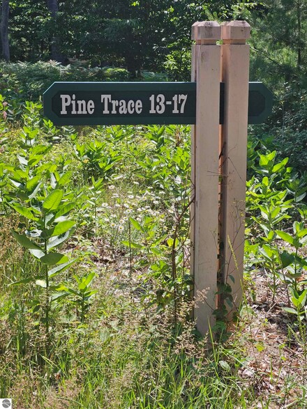 15 Pine Trace, Glen Arbor, MI 49636