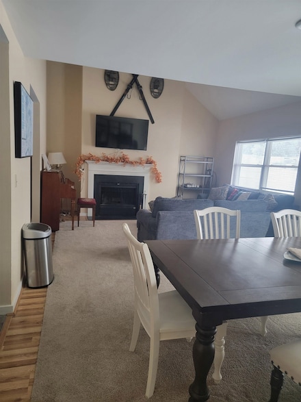 295 Hotel Rd Unit 17, Brownsville, VT 05037