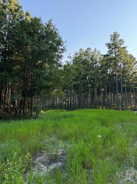 5284 Crosby Chapel Rd, Baxley, GA 31513