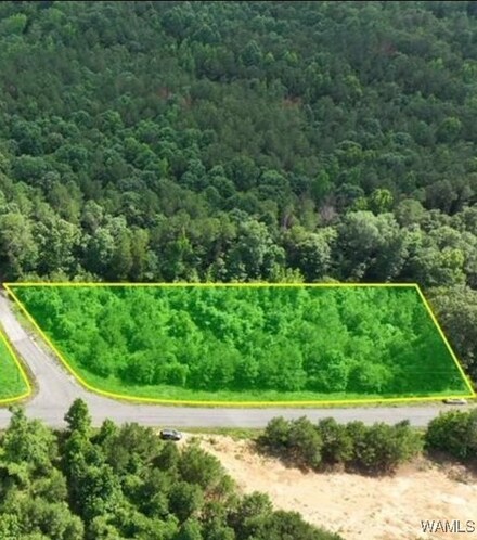 15 Skeet Davidson Rd, Reform, AL 35481