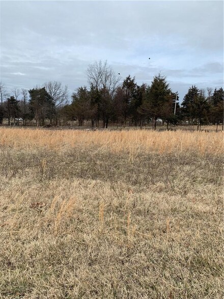 Tract 2 Doc Meyer Rd, Seligman, MO 65745
